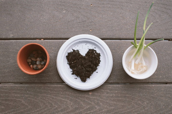 Reuse Your Green Onions | Our Sweet Somewhere