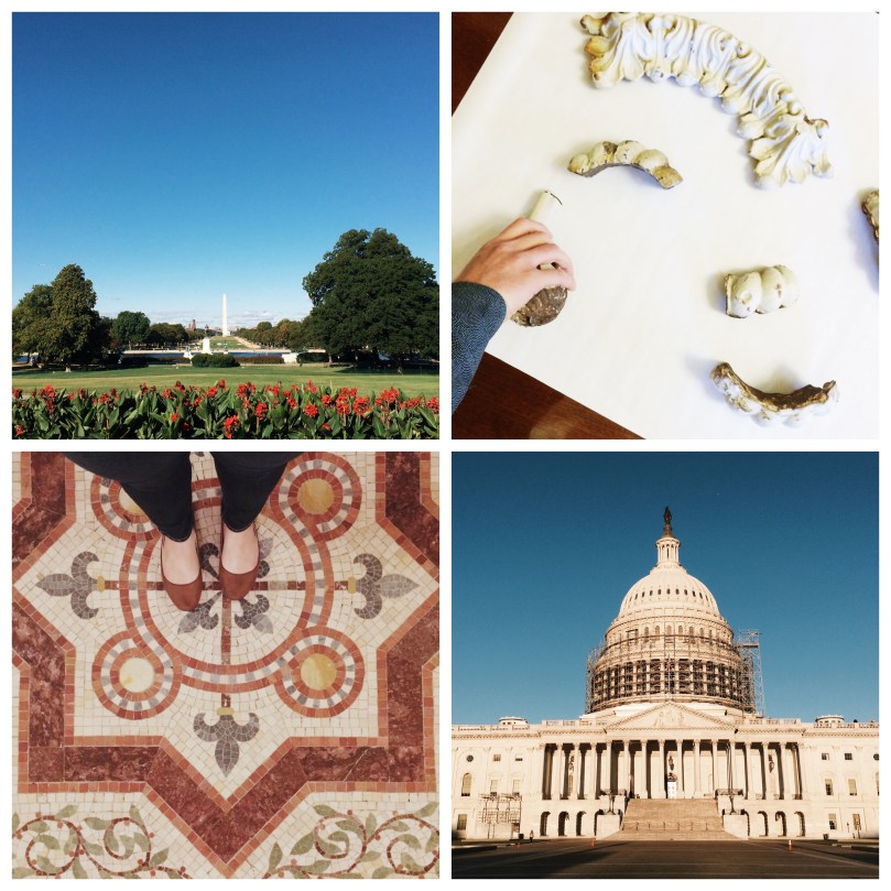 #capitolmorning | Our Sweet Somewhere