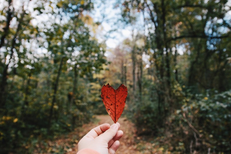 Shenandoah: Camping + Engaged