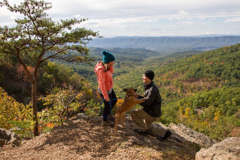 Shenandoah: Camping + Engaged